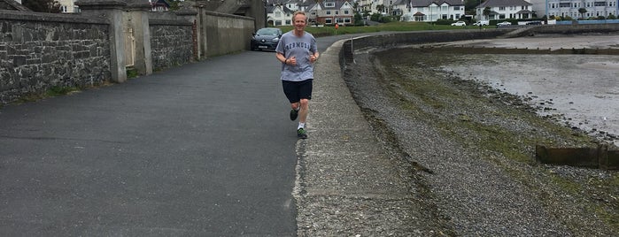 Ballyholme Beach is one of Ireland.