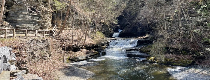 Eagle Cliff Falls is one of Waterfalls - 2.