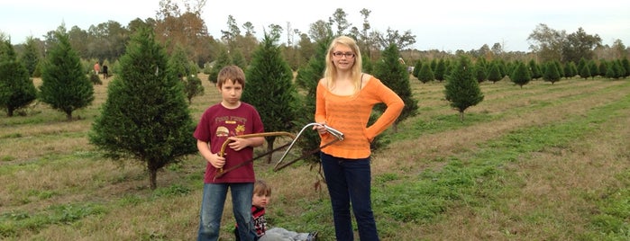 Shady Pines Christmas Tree Farm is one of Lugares favoritos de Andrew.