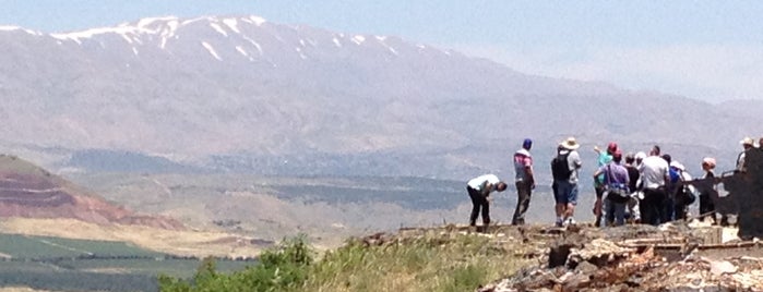 Mt. Bental Nature Reserve is one of Northern nature Israel.