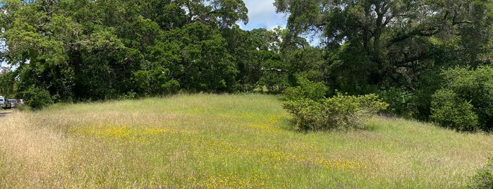 Mount Burdell is one of Hike with dogs.