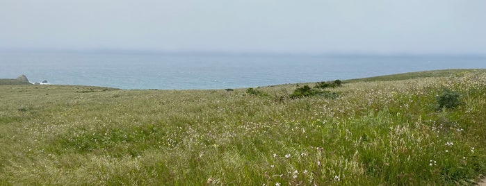 Tomales Point Trailhead is one of ACT–BAY | Landmark.