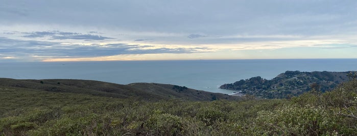 Coyote Ridge Trail is one of Hiking and viewing SF.