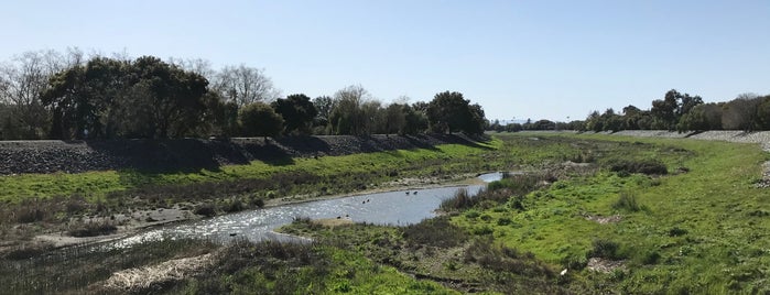 Alameda Creek Regional Trail is one of East Bay Running Trails.