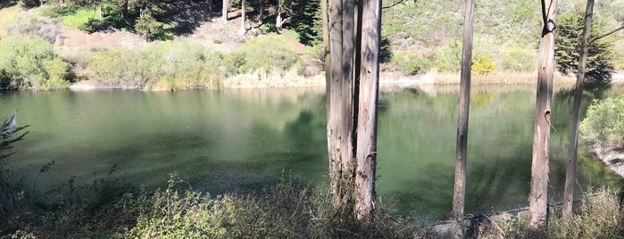Laguna Honda Reservoir is one of SF Lakes.