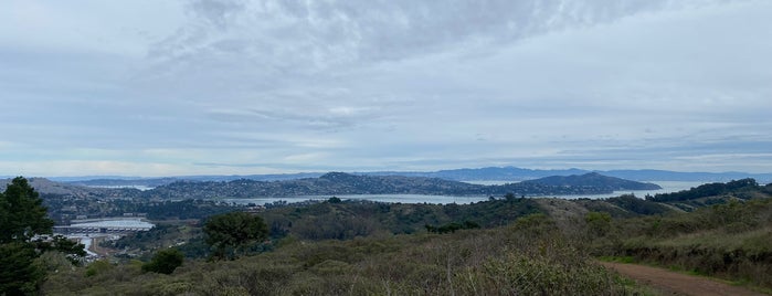 Tamalpais Valley is one of Bay Area Best.
