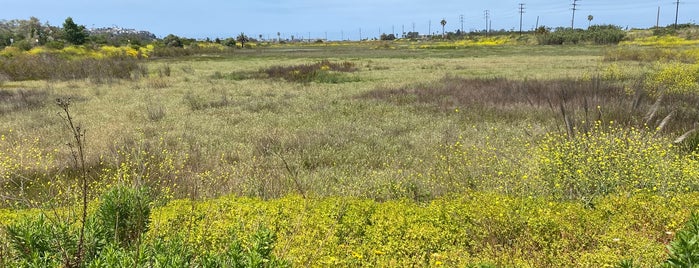 Ballona Wetlands is one of L.A. area Botanical Gardens.