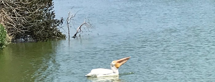 Lakeshore Park is one of Fremont area finds.