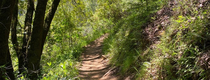 Hoo-koo-e-koo Trail is one of Marin.