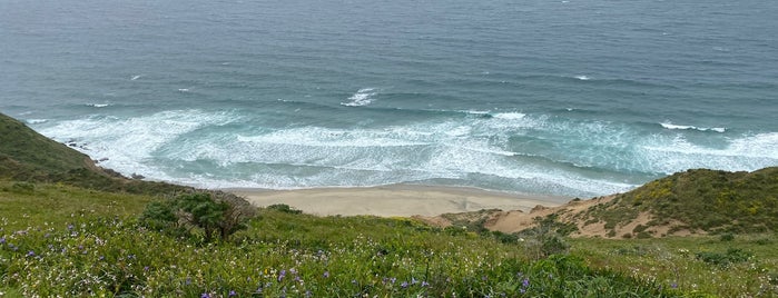 McClures Beach is one of california wine country.