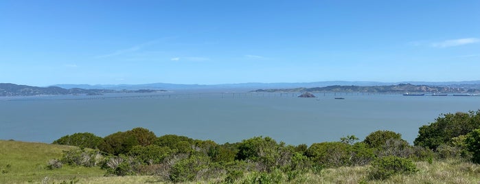 St. Hilary's Nature Preserve is one of SF Bay Area Day & Weekend Trips.