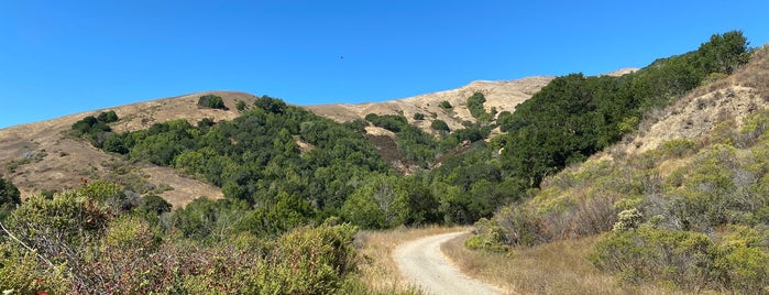 Loma Alta Trail is one of ACT–BAY | Landmark.