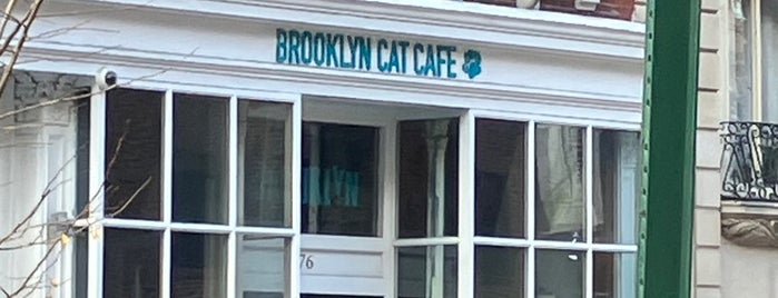 Brooklyn Cat Cafe is one of New York’s favorite local coffee shop 2021.