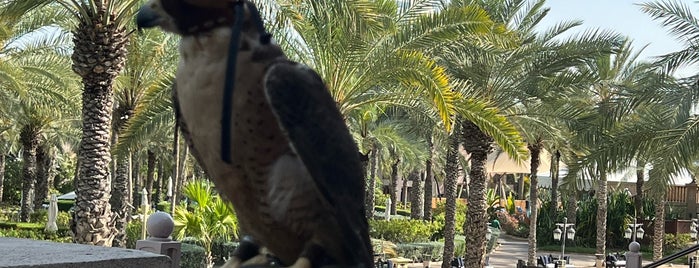 Arboretum is one of Dubai: Visited.