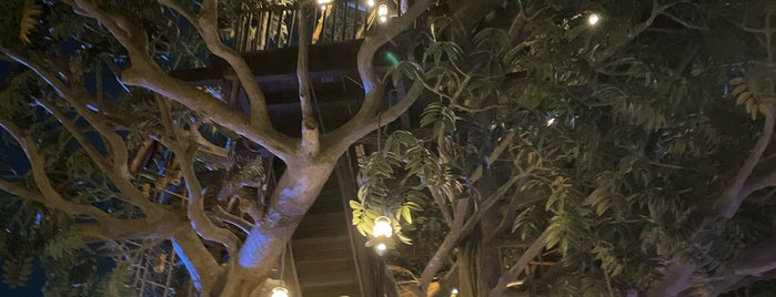 Tarzan's Treehouse is one of Theme Parks.