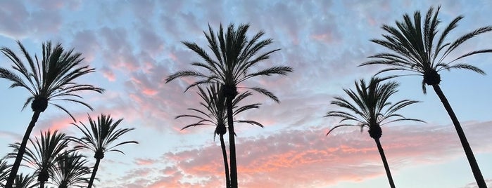 Long Beach Towne Center is one of Los Angeles - 2023.