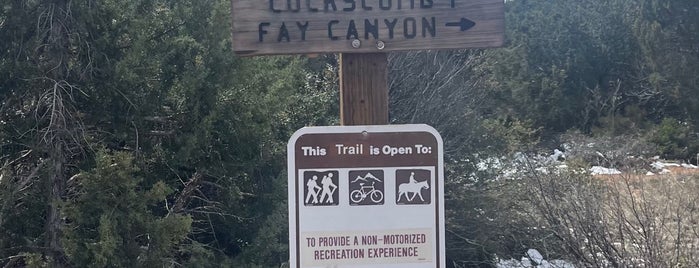 Fay Canyon Trailhead is one of Road Trip.