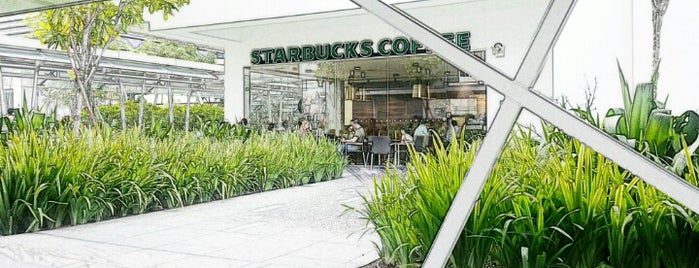 Starbucks is one of Starbucks Singapore.