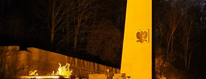 Denkmal des polnischen Soldaten und des deutschen Antifaschisten is one of Grün und Blau Berlin.