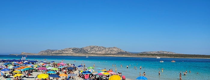Spiaggia della Pelosa is one of Sardinia & Korsika.