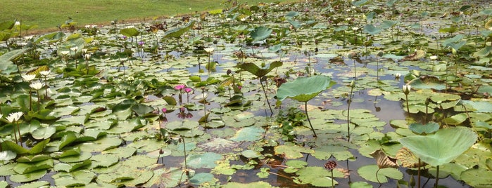 Nilai Memorial Park (孝恩园) is one of Negeri Sembilan, Malaysia.