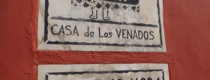 Casa de los Venados is one of valladolid.