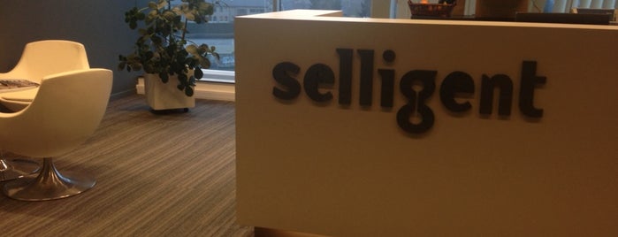 Selligent is one of My old Jobs.