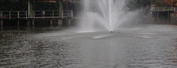 Roma Street Parklands is one of Brisbane.