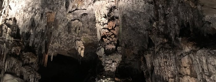 Grutas de Cacahuamilpa is one of Liliana’s Liked Places.