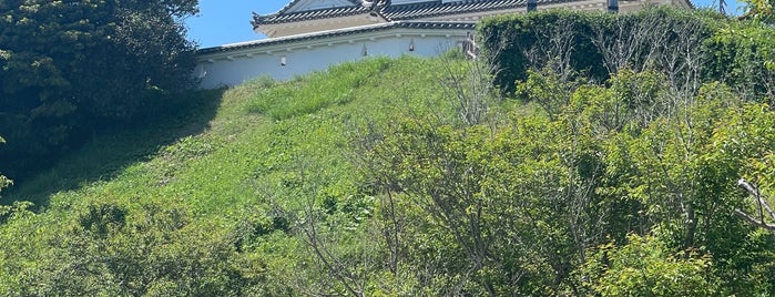 Kakegawa Castle is one of 城跡.