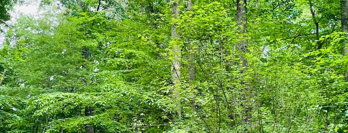 Brook Run Park is one of Locais curtidos por Tye.