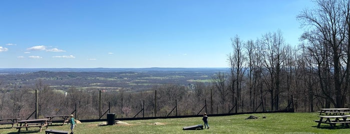 Bear Chase Brewing Company is one of DMV Wineries & Breweries.