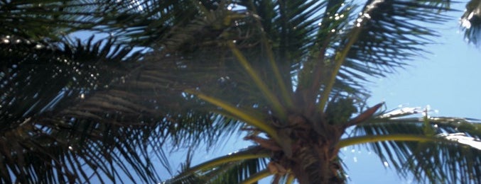 Playa - Beach is one of JoseRamon'un Beğendiği Mekanlar.