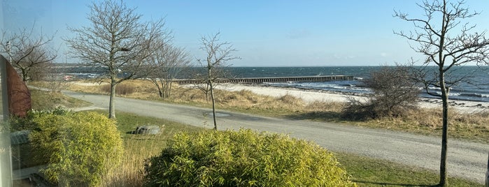 Ystad Beach is one of Yatad.