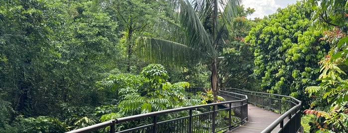 Canopy Walk is one of Intrepidity.