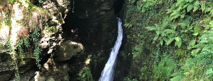 St Nectan's Glen is one of Cornwall.