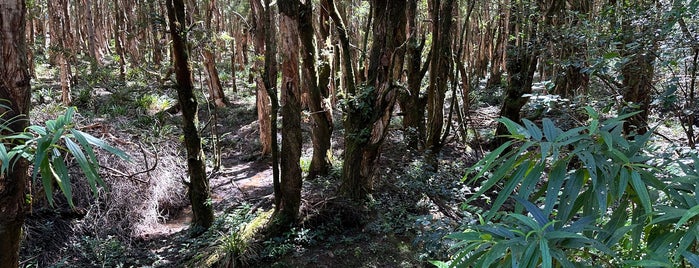 Black Georges National Park is one of Zeehaさんのお気に入りスポット.