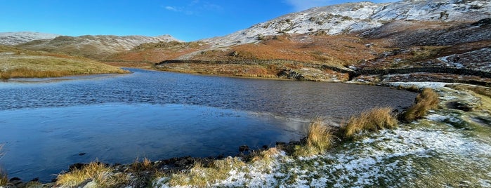 Alcock Tarn is one of Lake District.