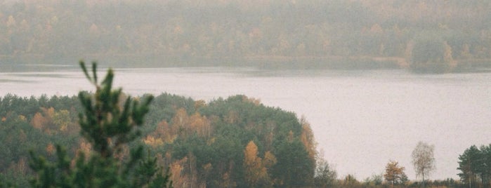 Parc National des Hoge Kempen is one of Bélgica | Passeios.