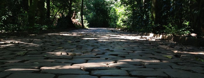 Parque do Ingá is one of Corrida Maringa.