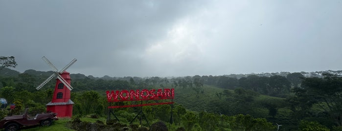 Kebun Teh Wonosari is one of Malang Spots.