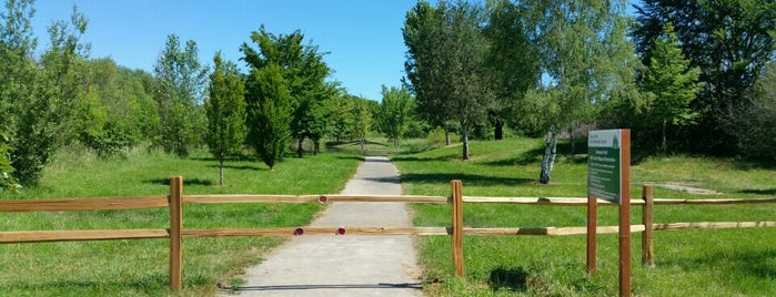 Greenway Park Disc Golf is one of Portlandia.