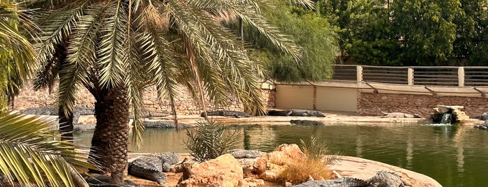 The Crocodile Farm is one of Djerba_to_Ahmed.