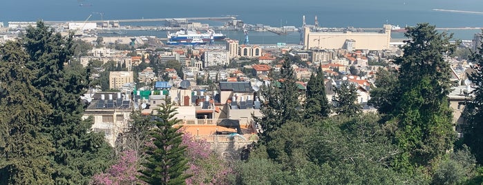 David Stossel overlook terrace (מצפור דוד שטסל) is one of Israel & Palestine 🇮🇱🇵🇸.