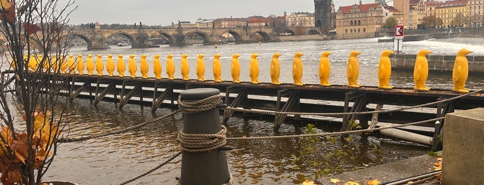 Yellow Penguins is one of Прага.