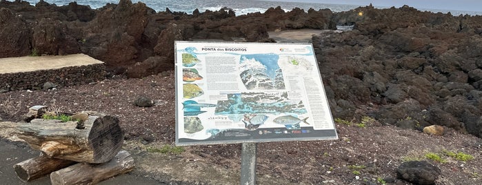 Piscinas Naturais dos Biscoitos is one of Açores.