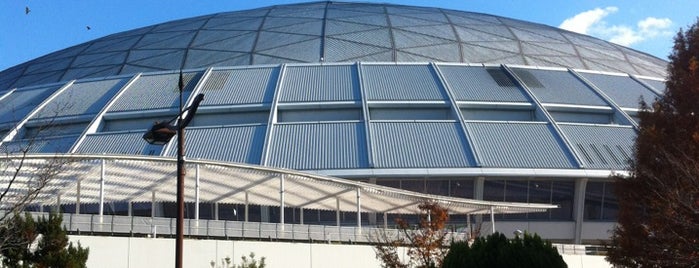 Vantelin Dome Nagoya is one of Baseball Stadium.