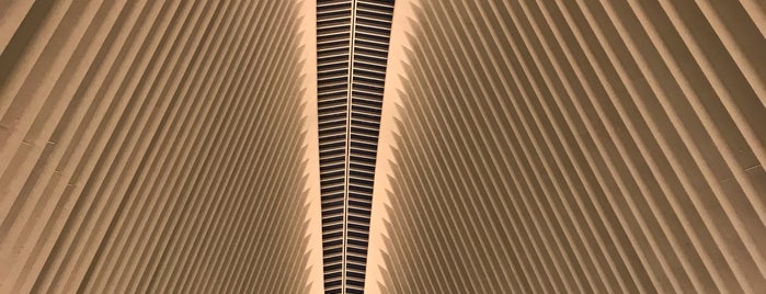 World Trade Center Transportation Hub (The Oculus) is one of Andrew'in Beğendiği Mekanlar.
