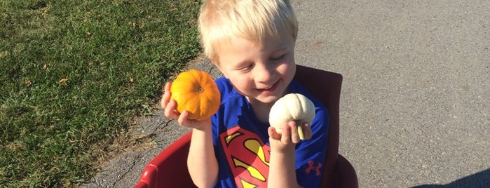 Farmers' Market at Dike East Park is one of Fargo, ND Living.