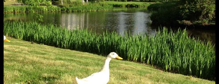 Dawson Creek Park is one of Lieux qui ont plu à edgar.